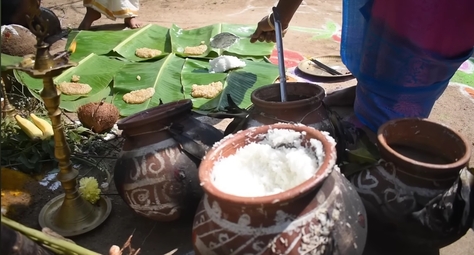 Pongal
